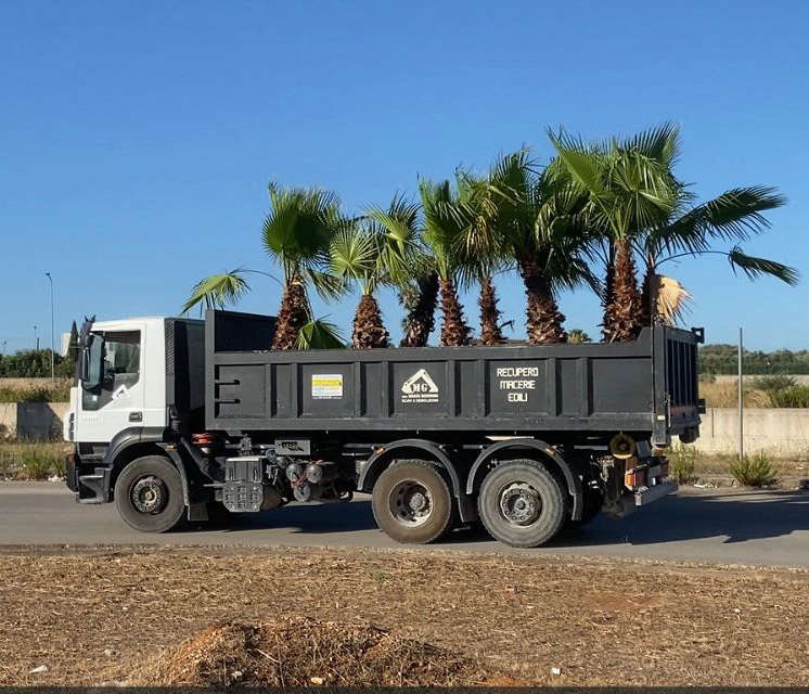 Autocarro per trasporto materiali